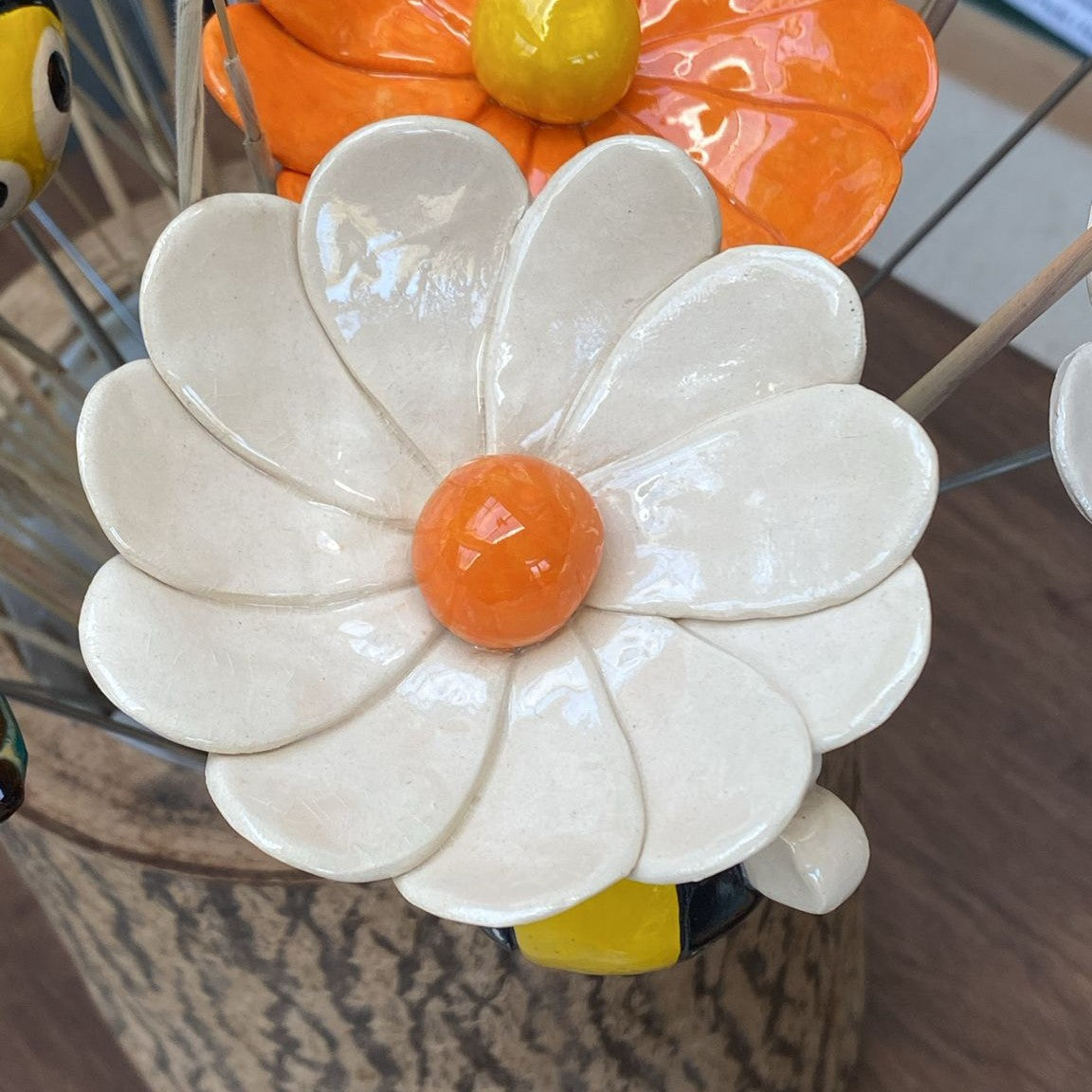 Grandes pâquerettes