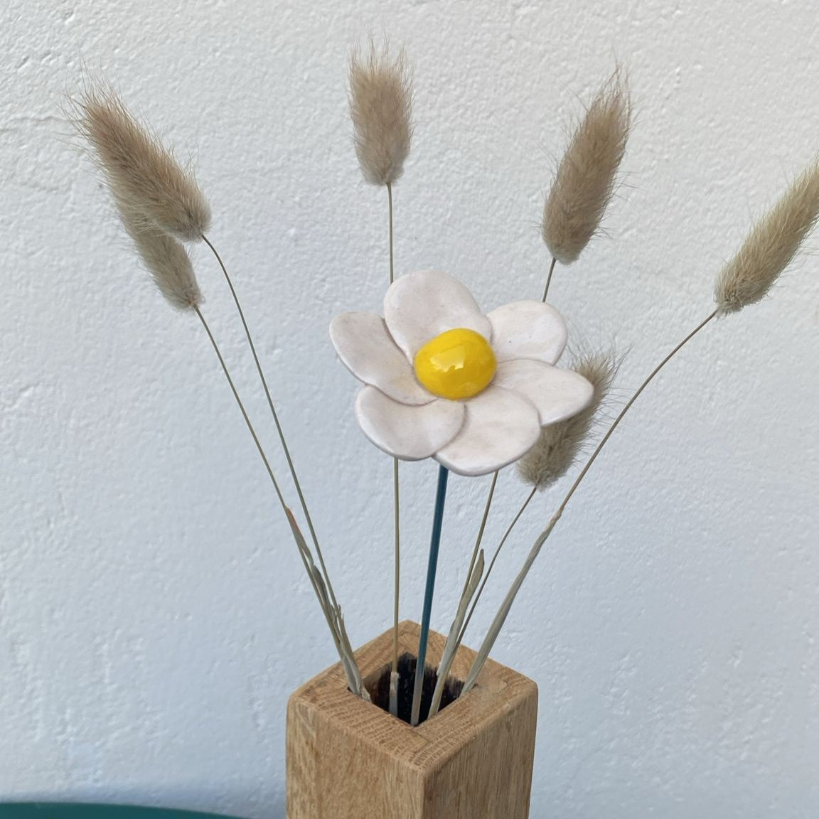 Les petites pâquerettes