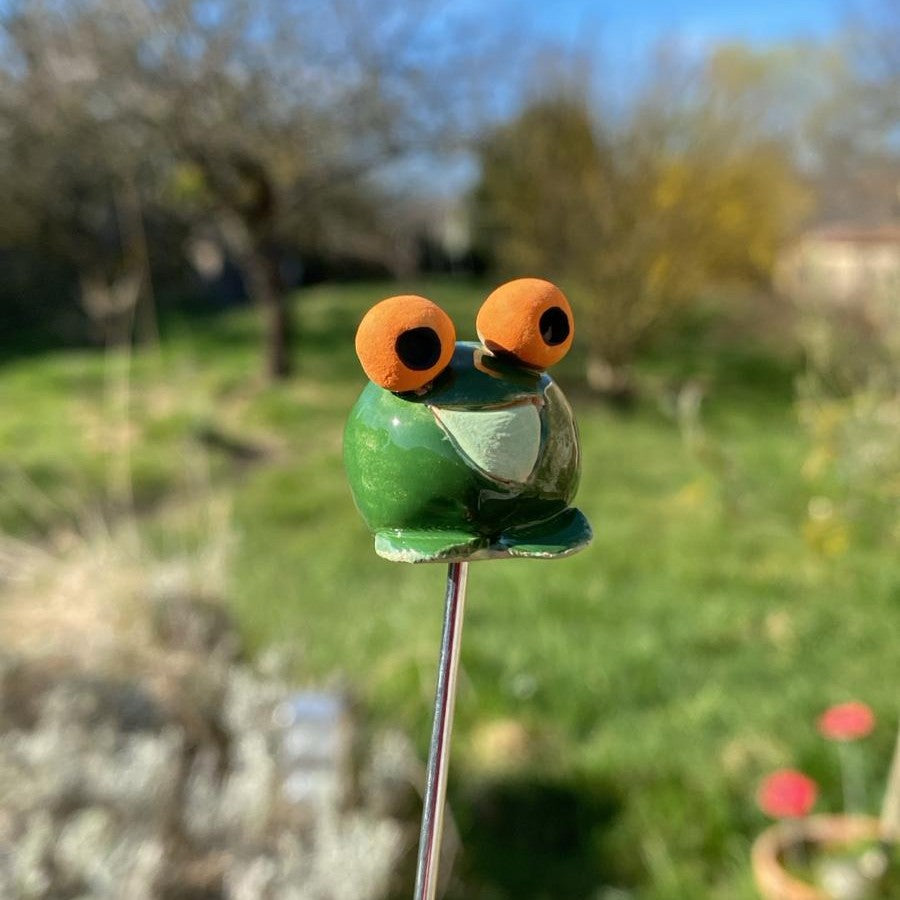Grenouilles sur pique