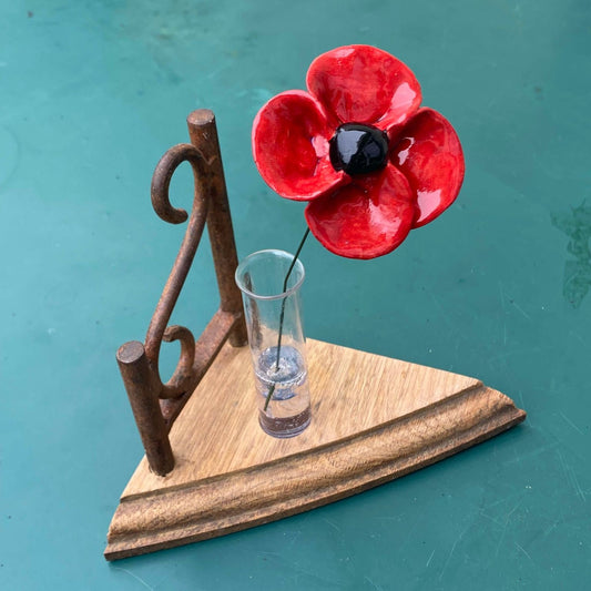 Coquelicot devant sa barrière